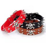 Skull and spikes dog collar