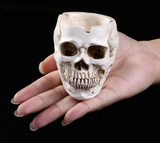 Skull resin ashtray