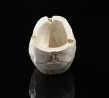 Skull resin ashtray