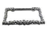 Skulls license plate frame