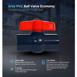 Midline Valve PVC Ball Valve with Pink T-Handle for Potable Water Use 1/2'' FIP Grey Plastic (492U12)