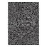 Hoarfrost 1000-Piece Puzzle
