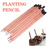 Grow Pencil: a pencil you can plant