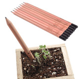 Grow Pencil: a pencil you can plant