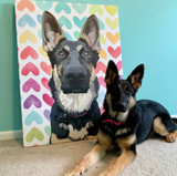 Custom Pet Canva (Limited Edition)