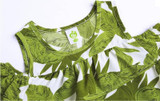 Summer Vacation Family Matching Dress