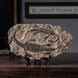 Dinosaur Fossil Sculpture
