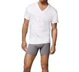 Hanes Tagless V-Neck T-Shirts