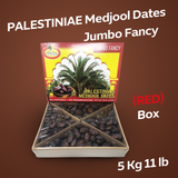Medjool Dates | Palm Date Gardens | Jumbo Fancy Palestinian Medjool Dates (Red) Box | 5kg | 11 LB