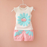 Summer Daisy Set