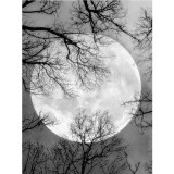 Diamond Painting Moon Fantasy