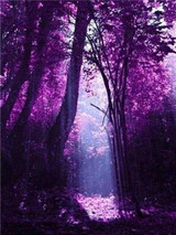 Diamond Painting Tree