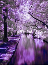 Diamond Painting Tree