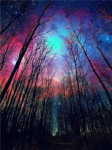 Diamond Painting Tree