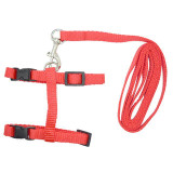 NYLON CAT HARNESS AND LEASH OFFER