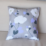 Soft Plush Room Pillow Case