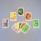 Family Fun Playing Card Board Game