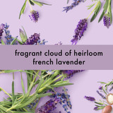 Love Beauty And Planet Argan Oil & Lavender Body Lotion Soothe & Serene
