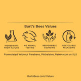 Burts Bees Cocoa & Cupuau Butter Body Lotion