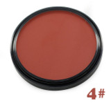 Shading Powder Makeup Bronzer & Highlighter