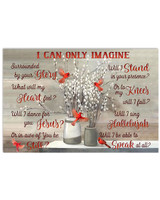 Cardinal I Can Only Imagine Hoodie Sweatshirt