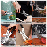 Poultry Shears ambidextrous