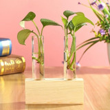 Glass and Wood Vase Planter