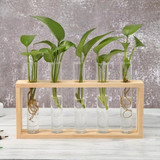 Glass and Wood Vase Planter