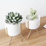 Nordic Style Ceramic Flower Pot