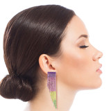 Rainbow Fringe Earrings Rainbow Fringe Earrings