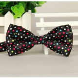 Rainbow Polka Dot Bowtie