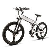 Folding Electric Bike