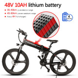Folding Electric Bike