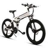 Folding Electric Bike