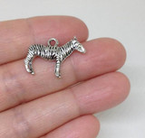 10pcs Zebra Charm