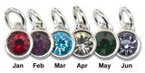 Birthstone Charms 12 mm Swarovski Crystal