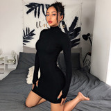 Turtleneck Long Sleeve Knit Dress