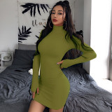 Turtleneck Long Sleeve Knit Dress