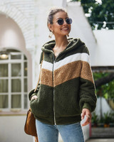 Teddy Cozy Faux Fur Hoodie