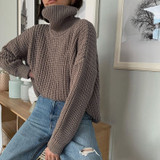 Turtle Neck Oversized Sweater