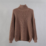 Turtle Neck Oversized Sweater