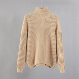 Turtle Neck Oversized Sweater