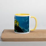 Turtle Mug with Color Inside
