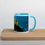 Turtle Mug with Color Inside