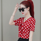 Elegant Polka Dot Bow tie Long Sleeve Blouses Shirt