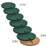Cactus Coaster