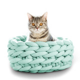 Kneading Cat Bed - Soft Wicker Cat Bed - Soft Warm Knitted Cat Bed