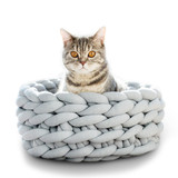 Kneading Cat Bed - Soft Wicker Cat Bed - Soft Warm Knitted Cat Bed
