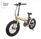 Foldable Electric Bike