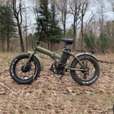 Foldable Electric Bike
